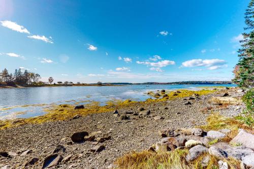 Tide River – Photos 3