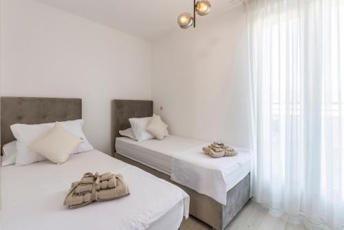 Luxury rooftop apartment Zalato
