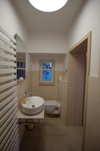 a bathroom with a sink and a toilet and a skylight at Ferienhaus im Obstgarten in Darlingerode