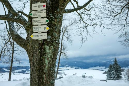 a tree with a bunch of signs on it at Hotel Kačenka in Králíky