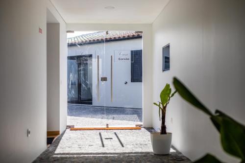 Carvão PDL Inn
