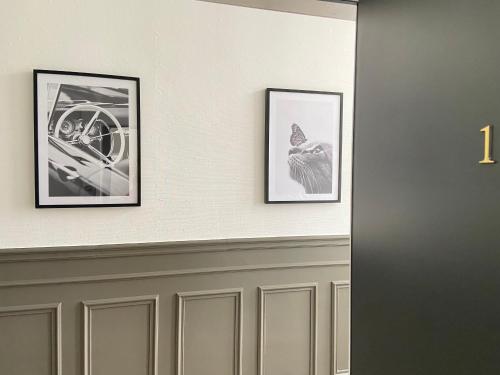 a hallway with three pictures of a cat on a wall at Résidence Adam à part in Valenciennes