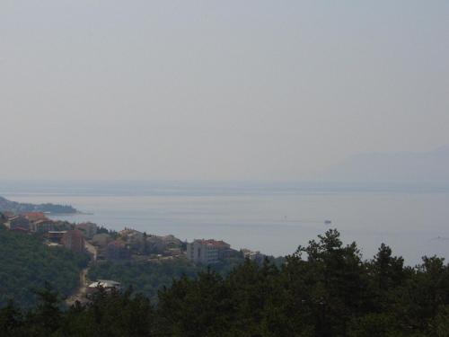 Foto Kuca Orhidea 6