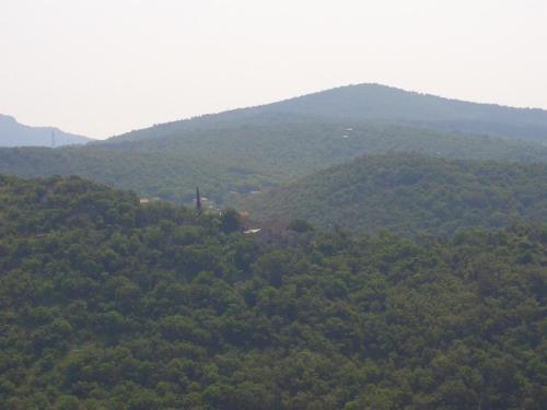 Foto Kuca Orhidea 5