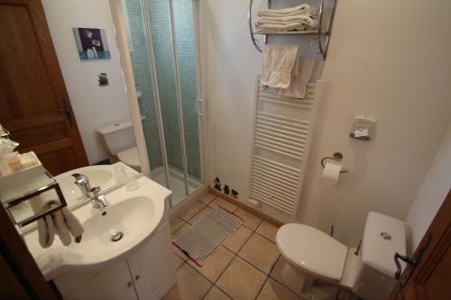 a bathroom with a shower and a toilet and a sink at Hôtel et Résidence de la Transhumance in Saint-Martin-de-Crau