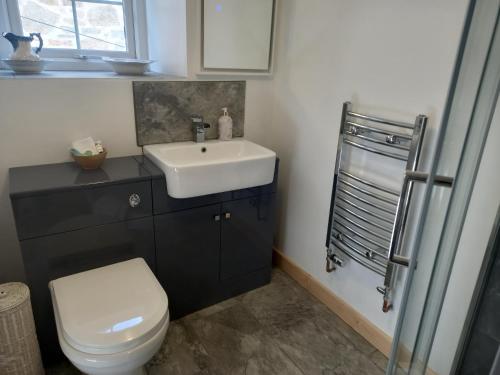 GlasburyにあるThe Harp Innの白い洗面台とトイレのあるバスルーム