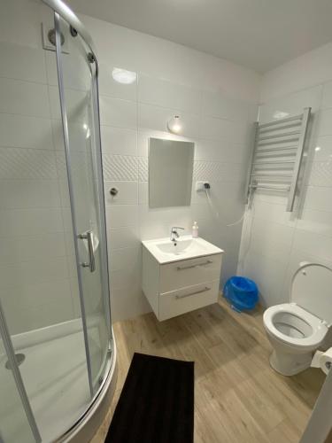 y baño con ducha, lavabo y aseo. en Hotelik Nad Zalewem 10 km od Legnicy en Legnica
