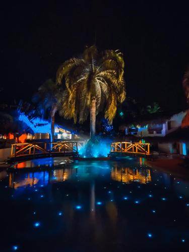 Paradiso del Caribe – Photos 4