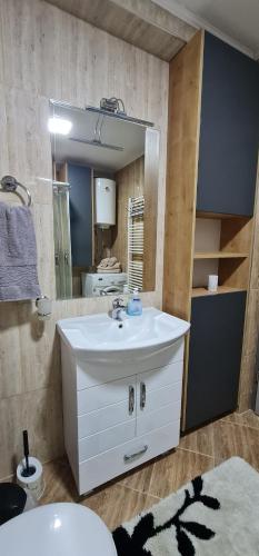 Apartment Ortakovski في إسكوبية: حمام مع حوض أبيض ومرآة