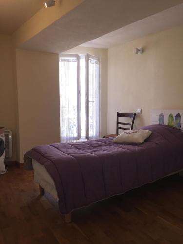a bedroom with a large bed with a purple blanket at Le Mini Louison du Verdon in Riez