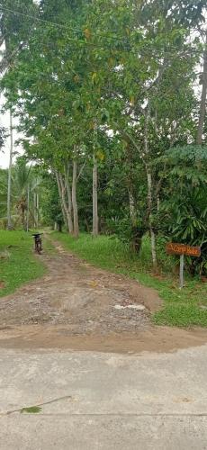 Φωτογραφία από το άλμπουμ του Camp Hadee Koh Yao Noi σε Ko Yao Noi