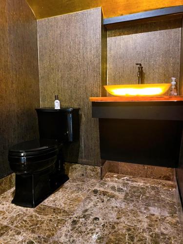 a bathroom with a black toilet and a sink at The Edward Buffalo in Buffalo