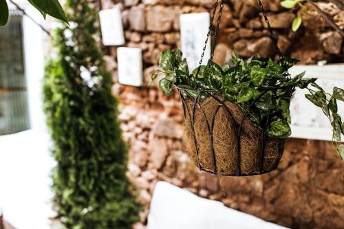 Κήπος έξω από το Ada Palas Buyukada