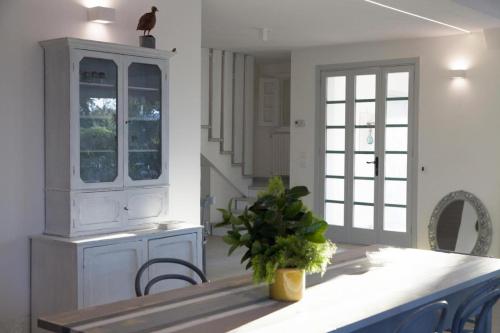 a kitchen with a counter with a plant on it at Villa con piscina mozzafiato, giardino e barbecue in Polignano a Mare
