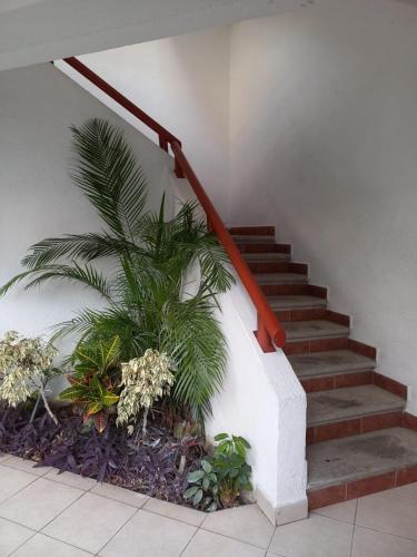 a staircase with a red railing and a palm tree at Rincón de Luz Cuernavaca in Cuernavaca