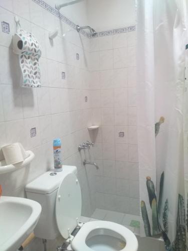 a bathroom with a toilet and a shower and a sink at caminos del vino in Maipú