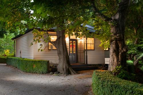 a house with two trees in front of it at Moulton Park Estate - Cottages in Sassafras