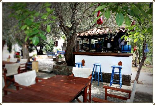 Un jardín fuera de Spiros Rooms