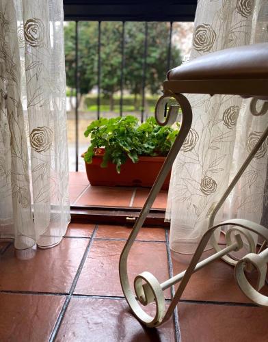 a chair sitting in front of a window with a potted plant at Balcones con Encanto - vistas al conjunto monumental Patrimonio de la Humanidad in Úbeda