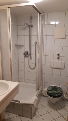 La salle de bains est pourvue d'une douche, de toilettes et d'un lavabo. dans l'établissement Landhotel Wiesenhof, à Heroldstatt