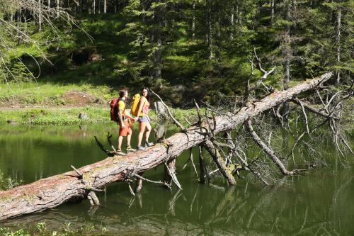 two people walking across a fallen tree bridge over a river at Feriendorf Tauerngast in Hohentauern