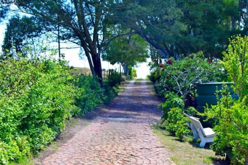 A Vie at C Self Catering Houseにある庭