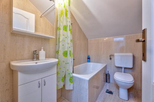 a bathroom with a sink and a toilet and a shower at Vila Nikola Zlatibor in Zlatibor
