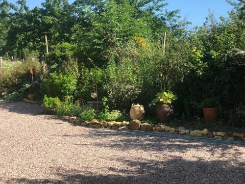 a garden with plants and vases on a gravel road at B&B La Vandelière Chambres chez l'Habitant in Macé