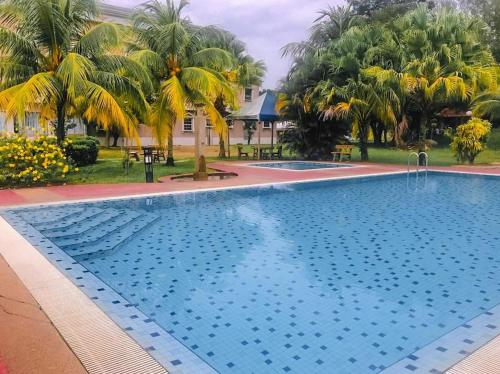 a large swimming pool with palm trees in the background at Hotel Seri Malaysia Kulim in Kulim