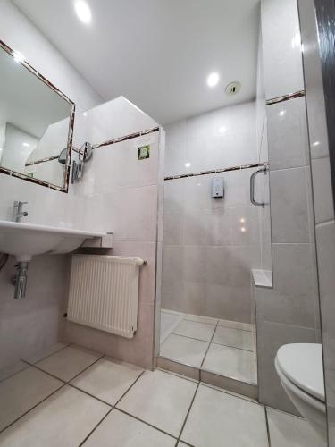 a bathroom with a shower and a sink and a toilet at Les Cèdres Bleus in Aurec-sur-Loire