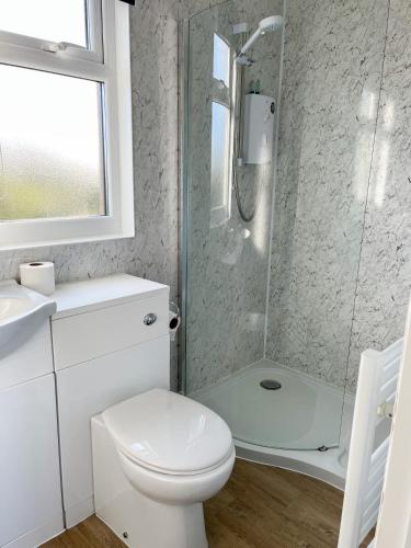 a bathroom with a shower and a toilet and a sink at Whitsand Bay Tamar Bedroom in Downderry