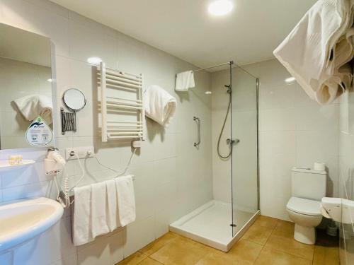 a bathroom with a shower and a toilet and a sink at Estación de Montaña Manzaneda in Puebla de Trives