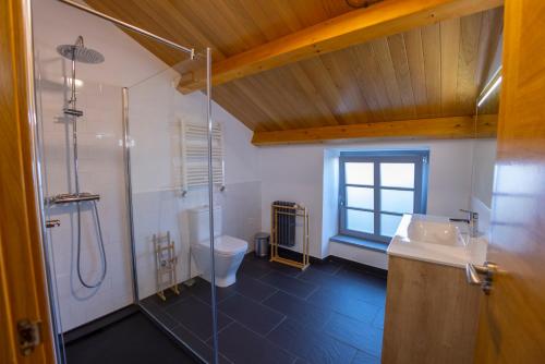 y baño con ducha, aseo y lavamanos. en Casa Alameda 23 en Ría Eo-Ribadeo, en Castropol