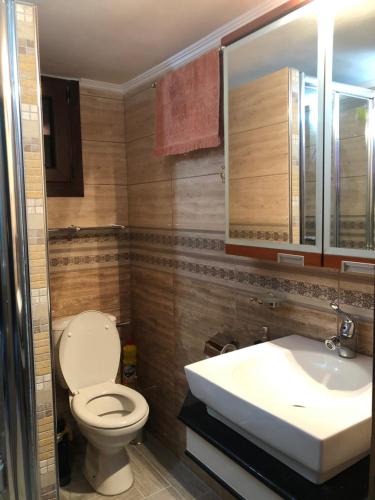 a bathroom with a toilet and a sink at The only luxurious apartment in the center of town in Kilkís