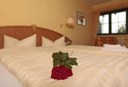 a red rose sitting on top of a bed at Hotel Leuchtfeuer in Freest
