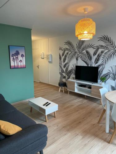 TV a/nebo společenská místnost v ubytování Appartement du Grand Parc (2) - 2 chambres (65m2)