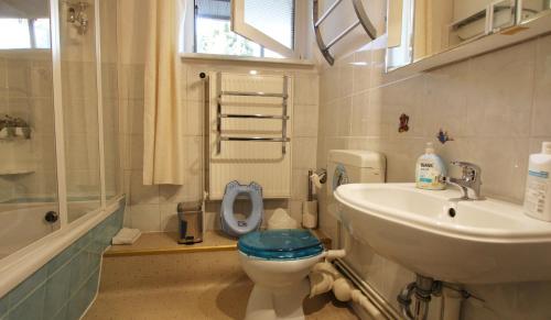 un bagno con un water e un lavandino di Ferienwohnung Familienwohnung a Kröpelin