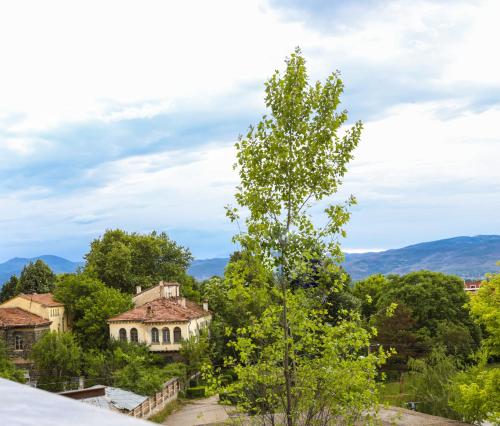 an old house in the mountains with a tree at Edea's Apartment in Korçë