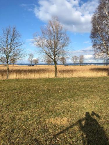 a shadow of a person in a field with trees at Hotel am See in Hard