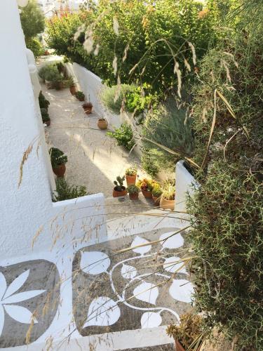 an overhead view of a garden with plants on a staircase at Asterias in Panteli