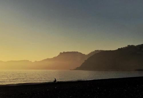 a person standing on a beach near the water at Algarrobo Azul in Almuñécar