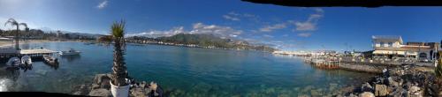 a view of a body of water with a palm tree at La Sirena Rooms in Giardini Naxos