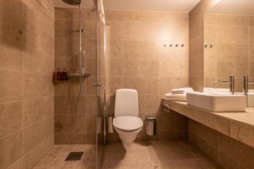 a bathroom with a toilet and a shower and a sink at Hotell Viktors in Sälen
