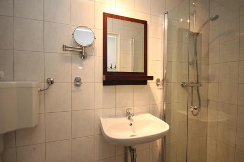 Un baño con lavabo y ducha con espejo. en Appartement Walvis nr. 14B, en Vrouwenpolder