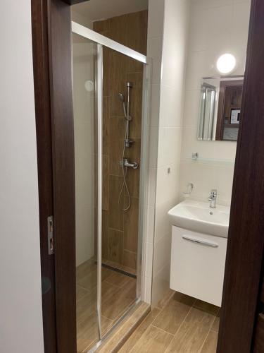 een badkamer met een douche en een wastafel bij Apartmán Diamond 2 in Podhájska