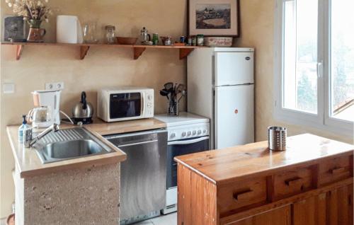 La cuisine est équipée d'un évier, d'un réfrigérateur et d'un four micro-ondes. dans l'établissement 2 Bedroom Nice Home In Villefort, à Villefort