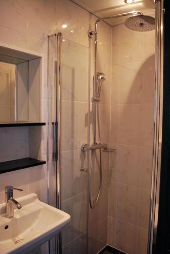 a bathroom with a shower and a sink at Appartement Walvis nr. 22B in Vrouwenpolder
