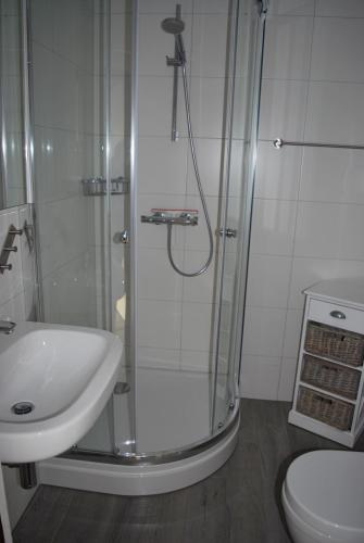 a bathroom with a shower and a sink and a toilet at Appartement Walvis nr. 26B in Vrouwenpolder