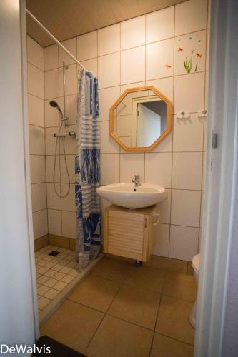 a bathroom with a sink and a mirror at Appartement Walvis nr. 9K in Vrouwenpolder
