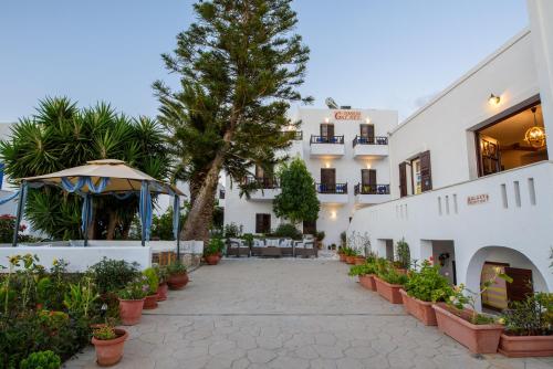 a courtyard of a hotel with potted plants at Galaxy in Aegiali